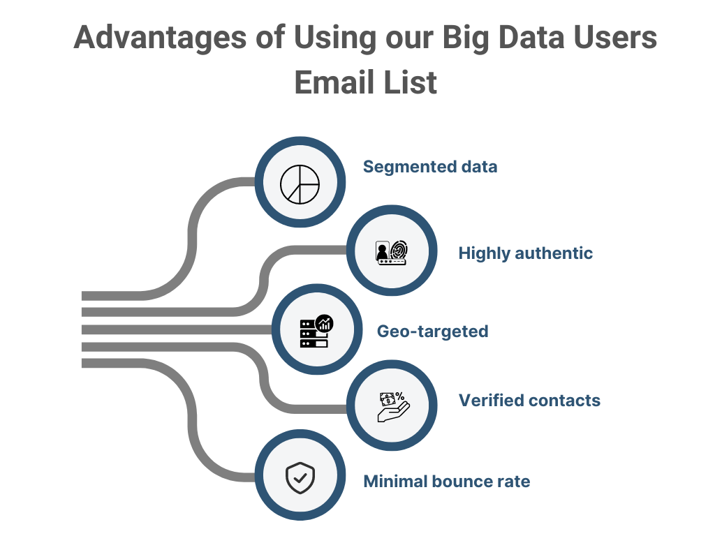 Big Data Users Email List - MailingInfoUSA